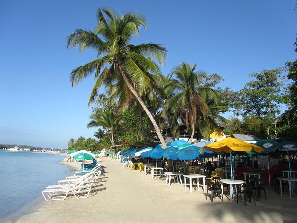 Private Transfer From Punta Cana Airport to Boca Chica and Santo Domingo Airport - Pickup and Drop-off