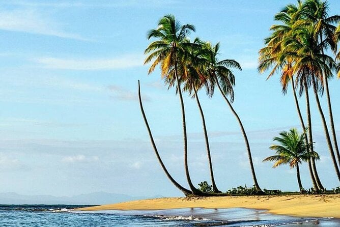 Private Transfer From Punta Cana Airport to Miches - Booking and Cancellation Policy