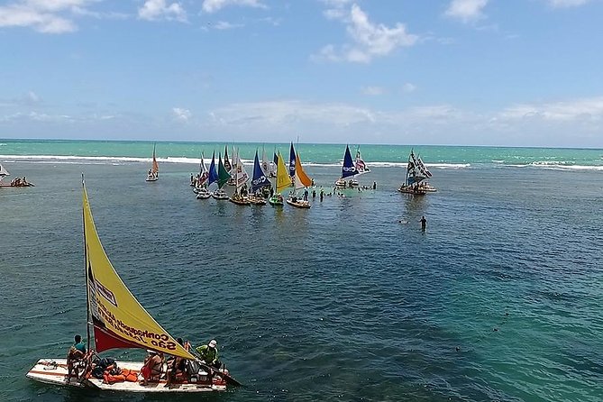 Private Transfer From Recife Airport to Porto De Galinhas - Transportation Details