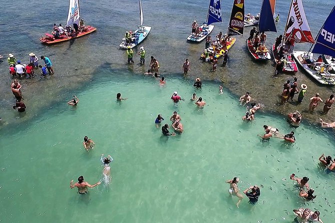 Private Transfer From Recife Airport to Porto De Galinhas - Pricing and Packages