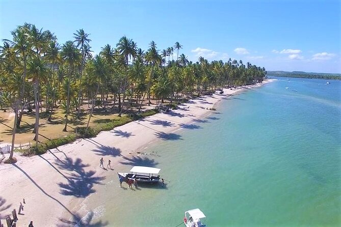 Private Transfer From Recife Airport to Praia Dos Carneiros - Key Points