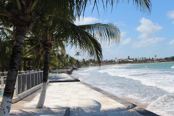 Private Transfer From RECIFE Airport to Serrambi by RECIFE TRANSLADO - Transfer Service Overview