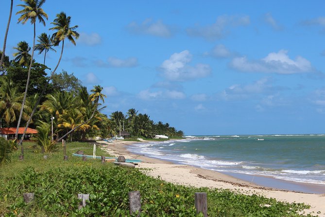 Private Transfer From RECIFE Airport to Serrambi by RECIFE TRANSLADO - Booking and Cancellation Policy