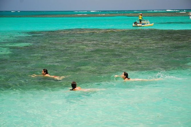 Private Transfer From Recife to Maragogi 01 to 06 Pax by Geotur Receptives - Service Overview