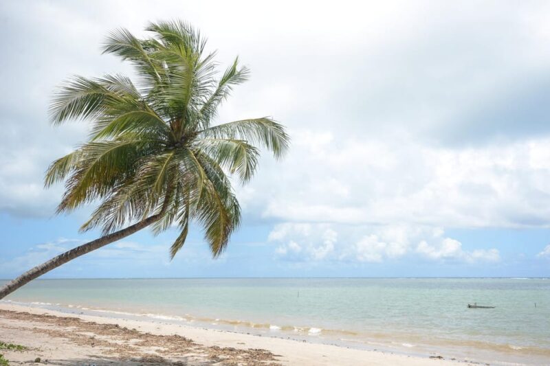 Private Transfer From Recife to Sao Miguel Dos Milagres - Reliable and Comfortable Service