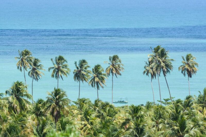 Private Transfer From Recife to Sao Miguel Dos Milagres - Portuguese or Spanish Speaking Guide