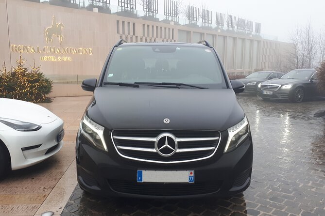 Private Transfer From Reims or Epernay to CDG Airport or Paris - Group Size Considerations