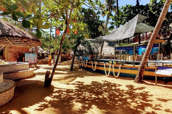 Private Transfer From Salvador Airport to Praia Do Forte - Accessibility and Accommodations