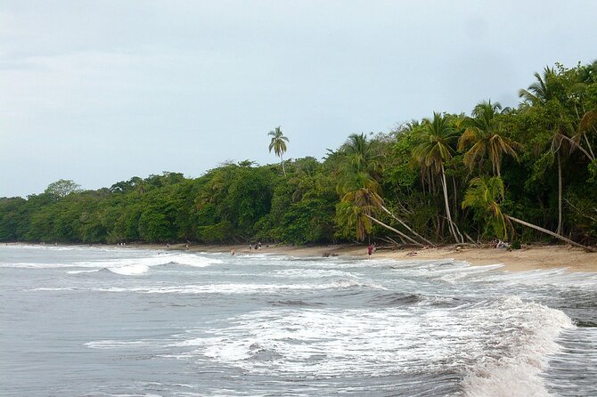 Private Transfer From San Jose Airport To Cahuita - Pickup and Drop-off Details