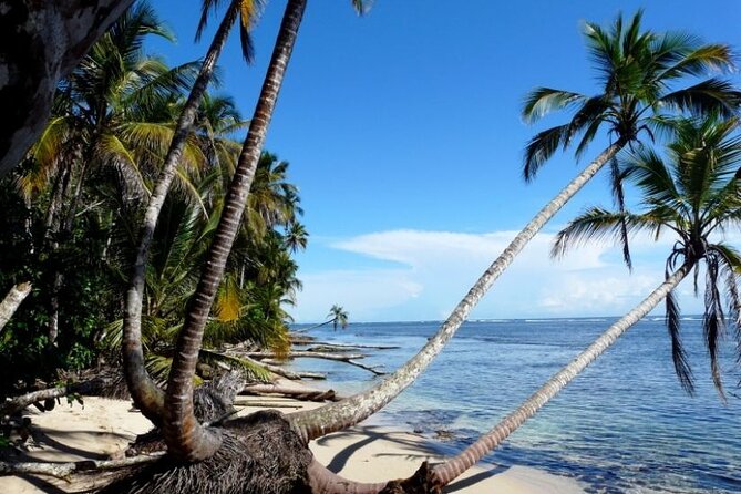 Private Transfer From San Jose Airport To Cahuita - About Costa Rica Shuttle Group