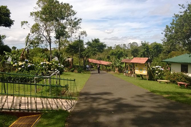 Private Transfer From San Jose Downtown to Liberia Airport - Key Points