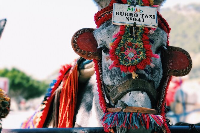 Private Transfer From San Miguel De Allende to Mexico City - Pricing Information