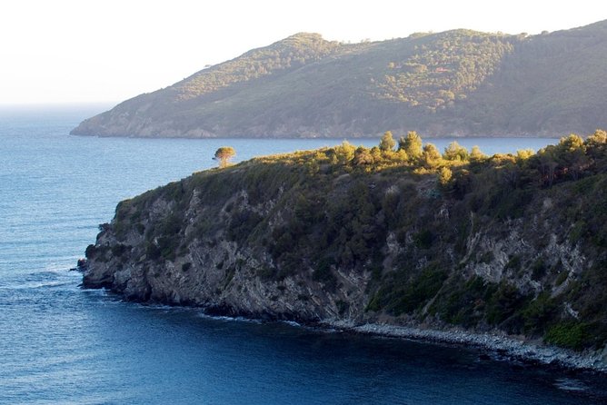 Private Transfer From Santandrea to Marina Di Campo (Eba) Airport - Meeting and Drop-off Points
