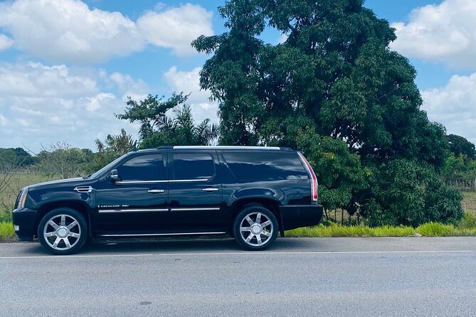 Private Transfer From Santiago STI Airport to Santo Domingo - Accessibility Information