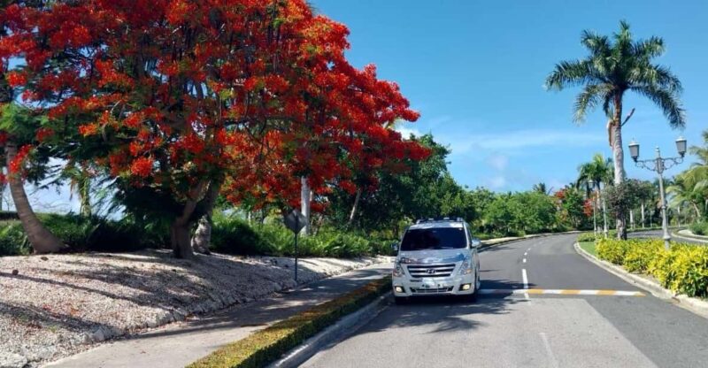 Private Transfer From SDQ Airport to Grand Palladium PC - Driver and Communication