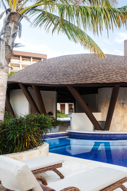 Private Transfer From SDQ Airport to Hyatt Ziva - Important Information