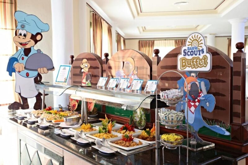 Private Transfer From SDQ to Bahia Principe Fantasia - Key Points