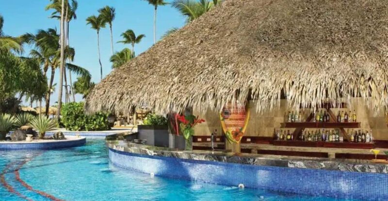 Private Transfer From SDQ to Jewel Punta Cana - Accessibility Information
