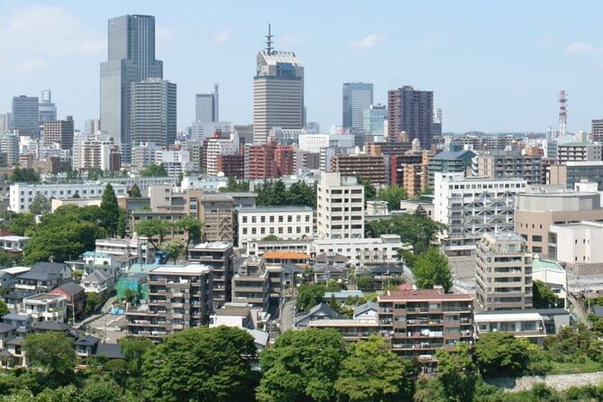 Private Transfer From Sendai Airport to Sendai City - Accessibility and Participation
