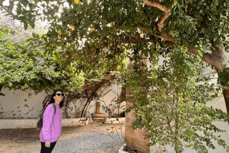 Private Transfer From Sevilla to Granada Stopping in Ronda - Discover the White Village of Ronda