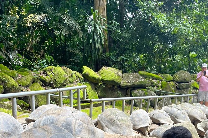 Private Transfer From Seychelles International Airport to Mahé - Key Points