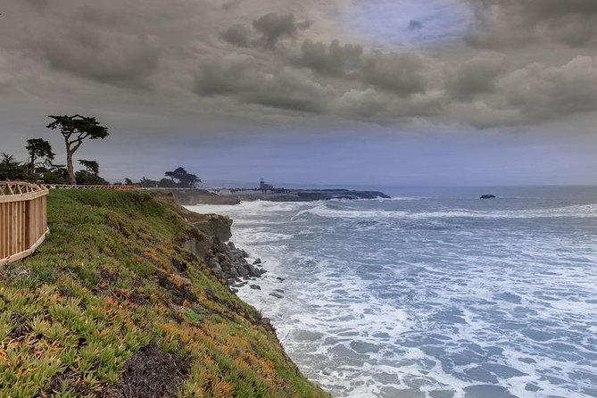 Private Transfer From SFO to Santa Cruz - Chauffeur and Amenities
