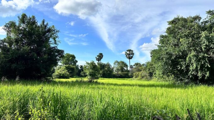 Private Transfer From Siem Reap to Phnom Penh - Suitability and Restrictions