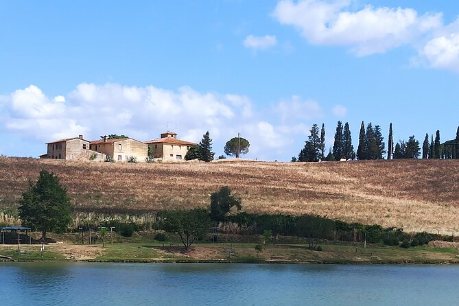 PRIVATE TRANSFER From Siena to Florence With Stop in S Gimignano & Monteriggioni - Accessibility