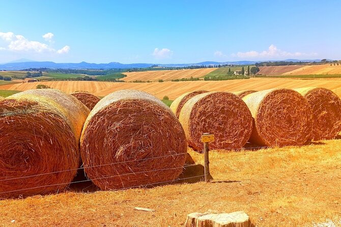 PRIVATE TRANSFER From Siena to Florence With Stop in S Gimignano & Monteriggioni - Pricing and Cancellation