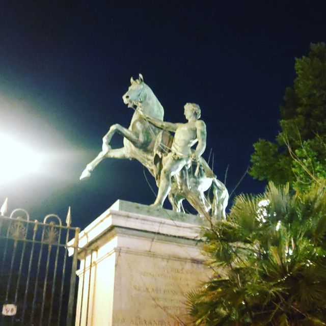 Private Transfer From Sorrento to Naples - Cancellation Policy