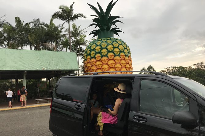 Private Transfer From Sunshine Coast Airport to Noosa 7 Seater + Luggage Trailer - Additional Information
