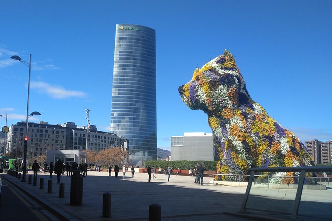 Private Transfer From the Airport to Bilbao City - Vehicle Amenities