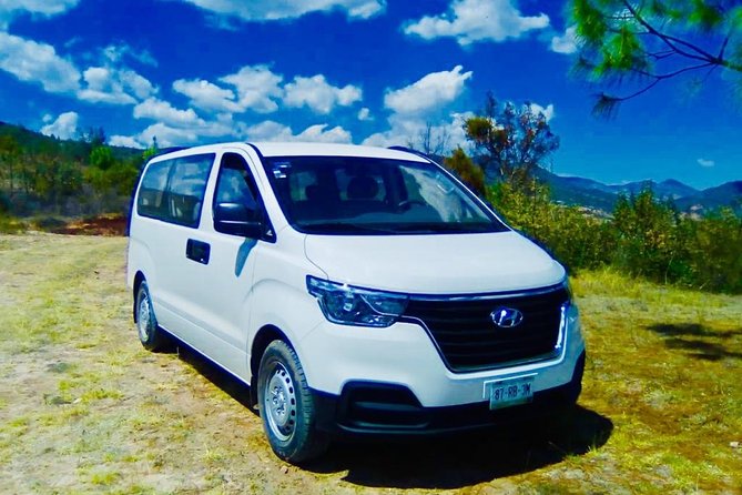 Private Transfer From the Airport to Your Hotel/House . - Inclusions and Pricing