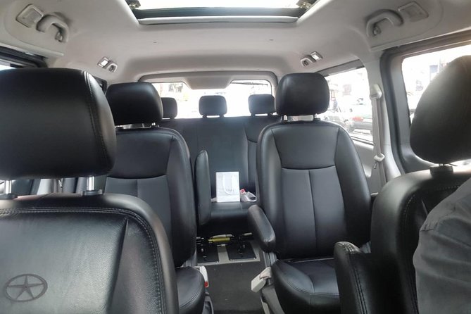 Private Transfer From the City of Sao Paulo to GRU Airport (1 to 15 People) - Accessibility and Accommodations