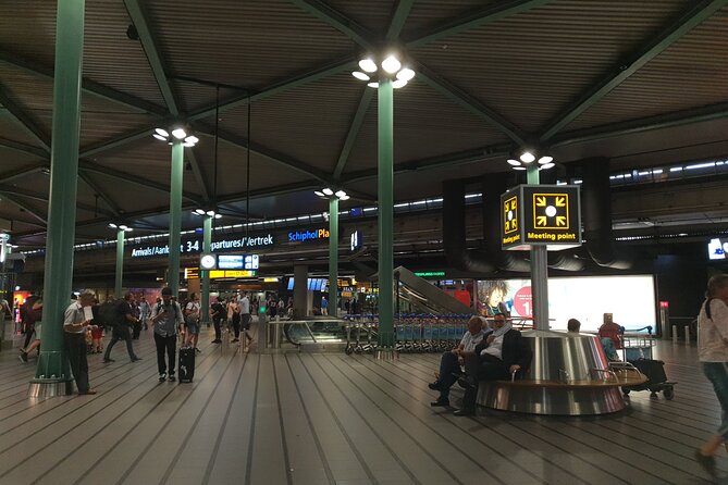 Private Transfer From the Hague City to Schiphol Airport - Driver and Vehicle Information