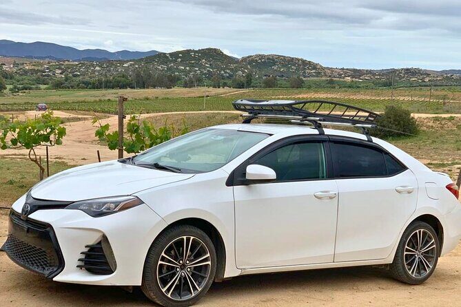 Private Transfer from Tijuana to Ensenada and Valle de Guadalupe - A Closer Look at the Transfer Experience