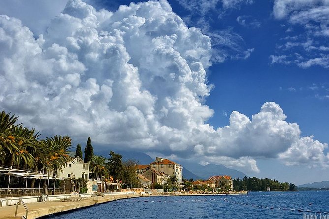 Private Transfer From Tivat or Porto Montenegro to Tivat Airport - Accessibility Information