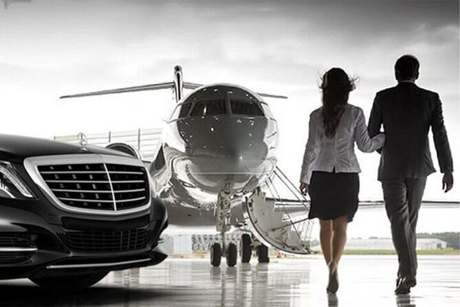 Private Transfer From/To CDG, ORLY Airports <=> DISNEYLAND - Meeting and Pickup Logistics