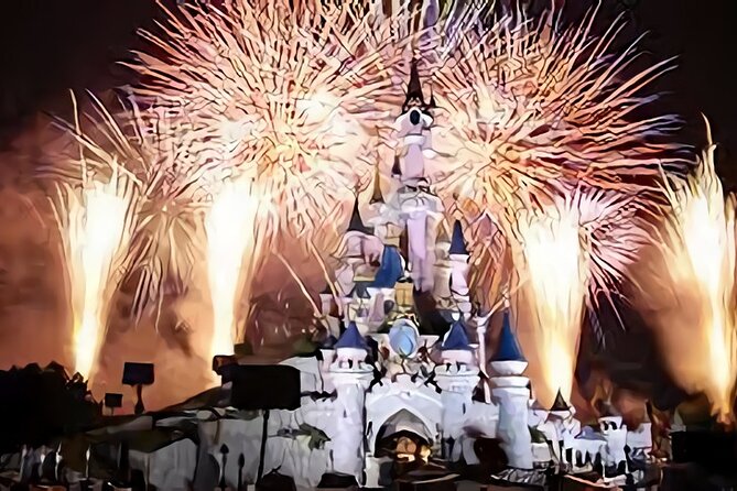 Private Transfer From/To CDG, ORLY Airports <=> DISNEYLAND - Accessibility and Participation