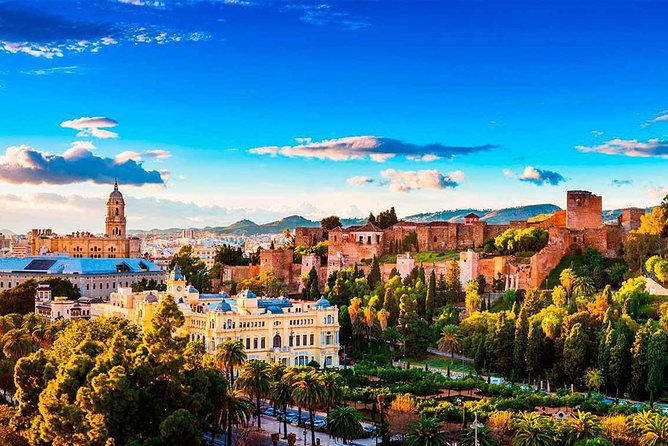 Private Transfer From Torre Del Mar to Malaga (Agp) Airport - Luggage and Charges