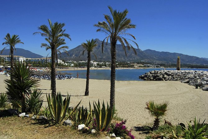 Private Transfer From Torre Del Mar to Malaga (Agp) Airport - Private Tour/Activity Details