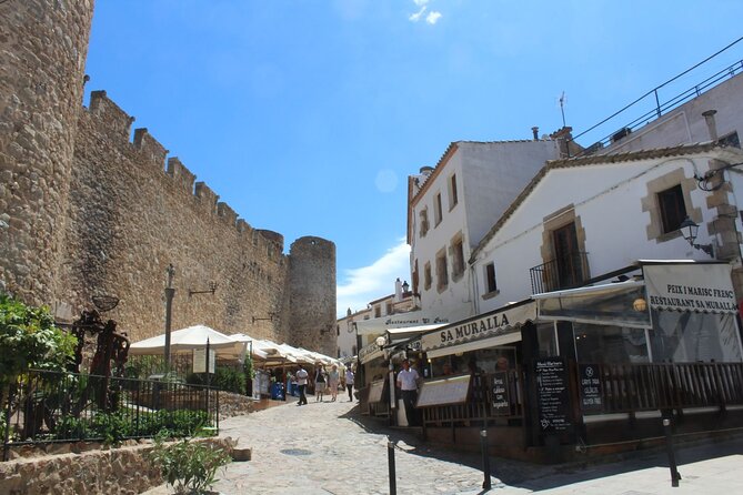 Private Transfer From Tossa De Mar/ Lloret De Mar to Barcelona - Accessibility and Participation