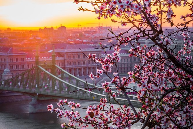 Private Transfer From Vienna to Budapest With 2 Hours for Sightseeing - Cancellation Policy and Flexibility