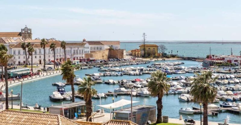 Private Transfer From Vilamoura to Lisbon - Transportation Experience