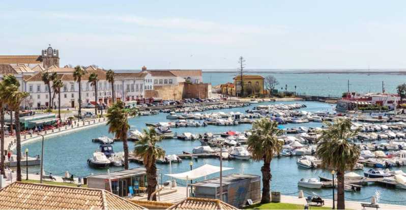 Private Transfer From Vilamoura to Lisbon - Flight Monitoring and Timeliness