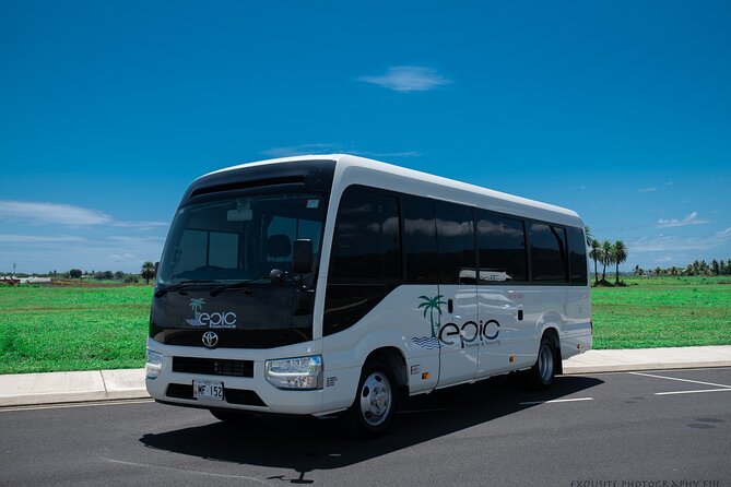 Private Transfer From Viti Levu Hotels to Nadi Airport - Pickup and Drop-off Details