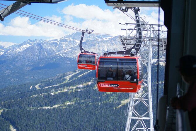 Private Transfer From Whistler to Richmond BC - Public Transportation Accessibility