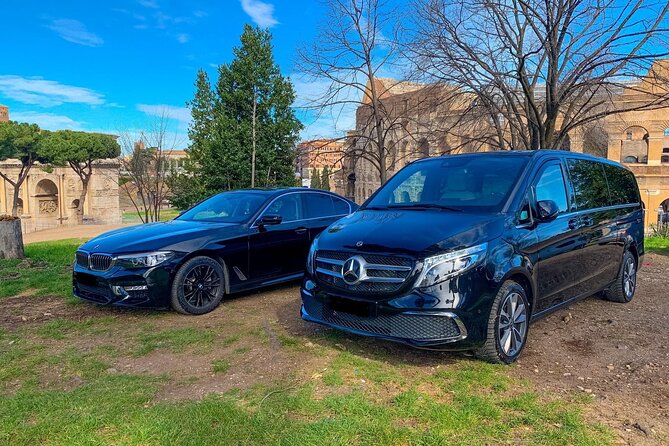 Private Transfer From Willemstad Cruise Port to Willemstad City - Vehicle and Amenities