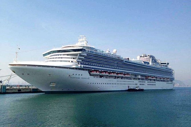Private Transfer From Wusongkou International Cruise Port to Shanghai City Center - Accessibility and Participation