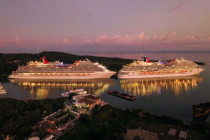 Private Transfer From Yokohama Cruise Port to Narita Airport NRT - Infant Seats Available